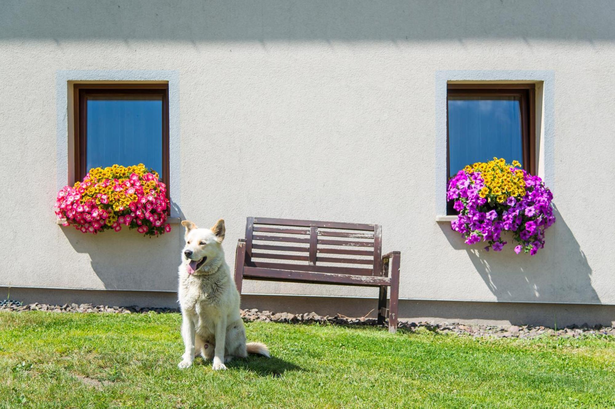 Agroturystyka "Pograniczna" Gluszyca Gorna Luaran gambar